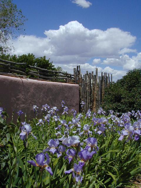 Inn On The Rio Taos Bagian luar foto