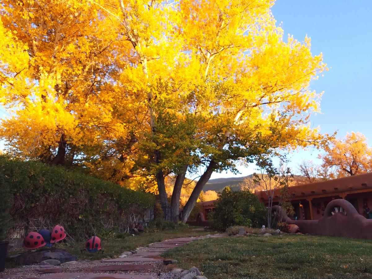Inn On The Rio Taos Bagian luar foto