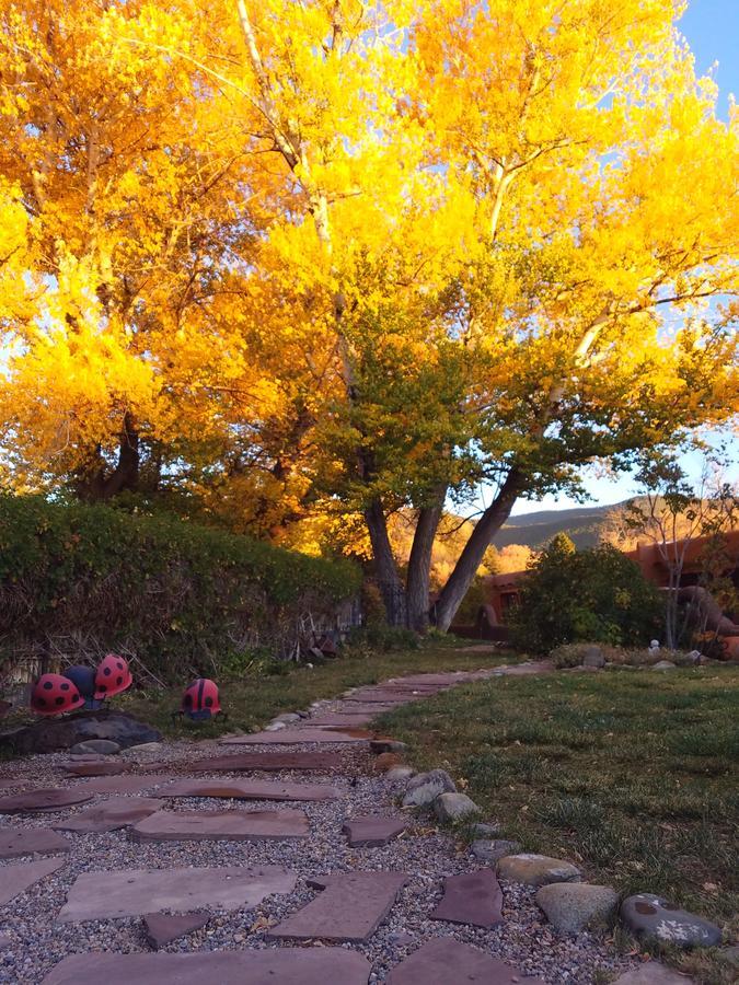 Inn On The Rio Taos Bagian luar foto